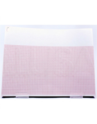 Burdick 007868 ECG Chart Paper - Case of 10 (Pad)