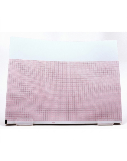 Burdick 007984 ECG Chart Paper - Case of 10 (Pad)